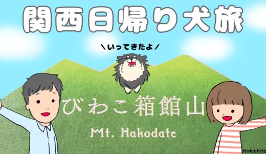 関西日帰り犬旅！愛犬と季節の花々を楽しめるスポット【びわこ箱根山】